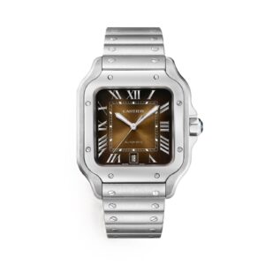 Cartier Santos Large Size WSSA0064