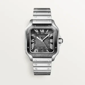 Cartier Santos acier automatique Dial Grey